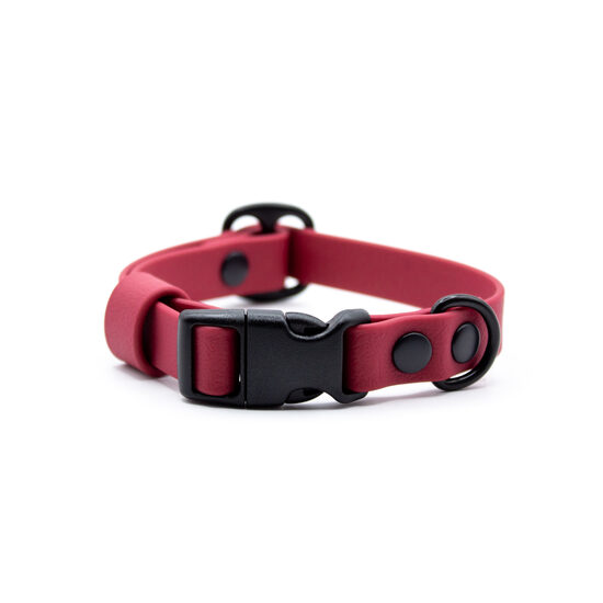 S size collar with plastic side release buckle